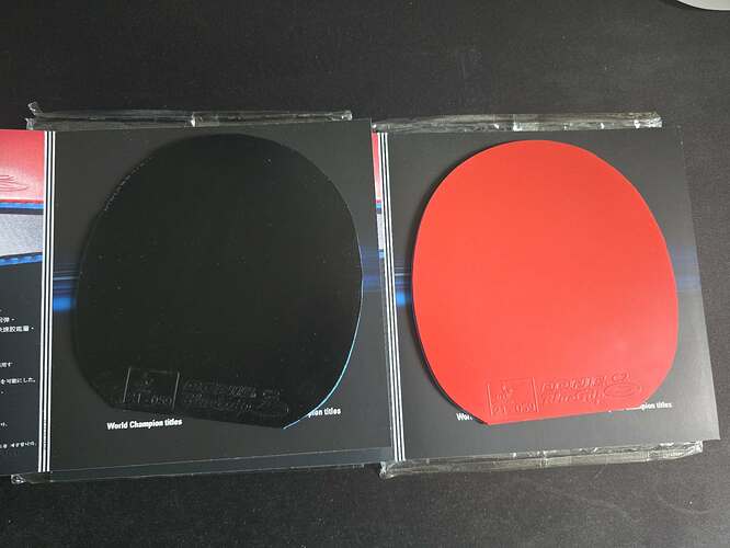 665209578_1208687931142472_8141088314437194585_n