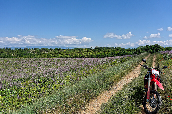 DSC02870_DxO